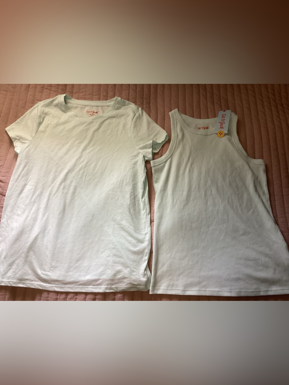 Cat & Jack Girls' Light Mint Short Sleeve and Tank Top Set size XL one NWT